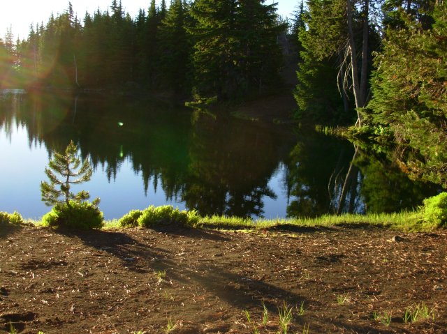 Summer '06 Sunriver 582 